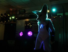 ScotiaCon 2011