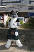 ScotiaCon 2011