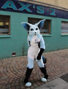 ScotiaCon 2011