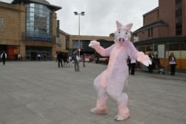 ScotiaCon 2011