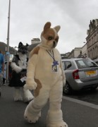 ScotiaCon 2011