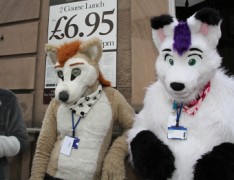 ScotiaCon 2011