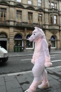 ScotiaCon 2011