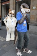 ScotiaCon 2011