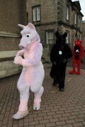 ScotiaCon 2011