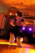 ScotiaCon 2011