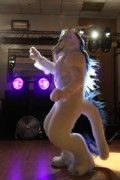 ScotiaCon 2011