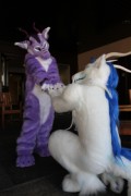 ScotiaCon 2011