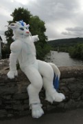 ScotiaCon 2011