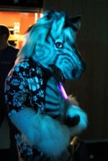 ScotiaCon 2011