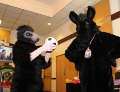 ScotiaCon 2012