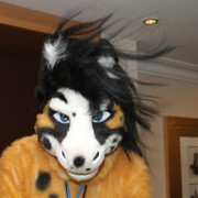 ScotiaCon 2012