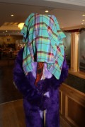 ScotiaCon 2012