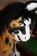 ScotiaCon 2012