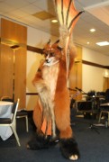 ScotiaCon 2012