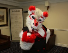 ScotiaCon 2012