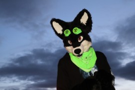 ScotiaCon 2012