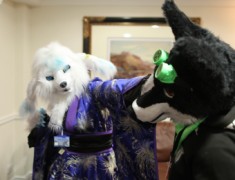 ScotiaCon 2012