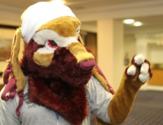 ScotiaCon 2012