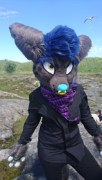 Suomenlinna furmeet