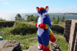 Suomenlinna furmeet