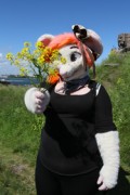 Suomenlinna furmeet