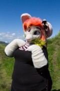 Suomenlinna furmeet