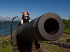 Suomenlinna furmeet