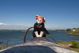 Suomenlinna furmeet