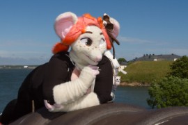 Suomenlinna furmeet