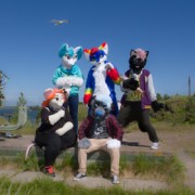 Suomenlinna furmeet