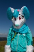 Suomenlinna furmeet