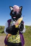 Suomenlinna furmeet