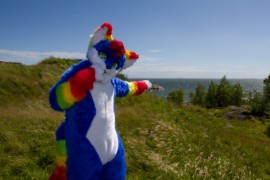 Suomenlinna furmeet