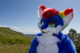 Suomenlinna furmeet