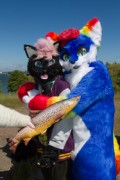 Suomenlinna furmeet