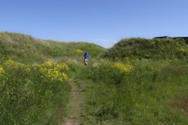 Suomenlinna furmeet