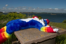 Suomenlinna furmeet