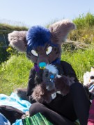 Suomenlinna furmeet