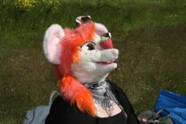 Suomenlinna furmeet