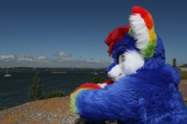 Suomenlinna furmeet