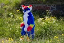 Suomenlinna furmeet