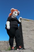 Suomenlinna furmeet