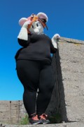 Suomenlinna furmeet