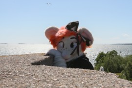 Suomenlinna furmeet