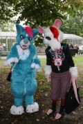 Tracon 2017