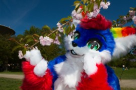 TTK Hanami 2018