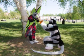TTK Hanami 2018
