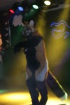 ef13