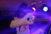 ef13